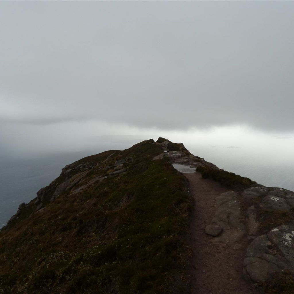Howling a gale