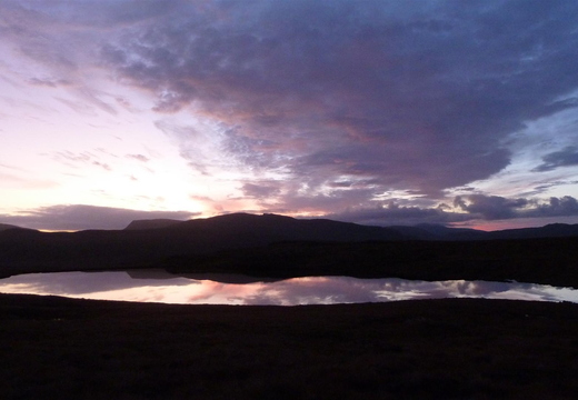 Dawn