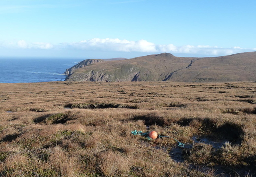 Funny place for a Buoy