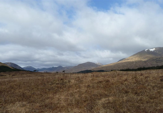 View Up Glen Kinglass