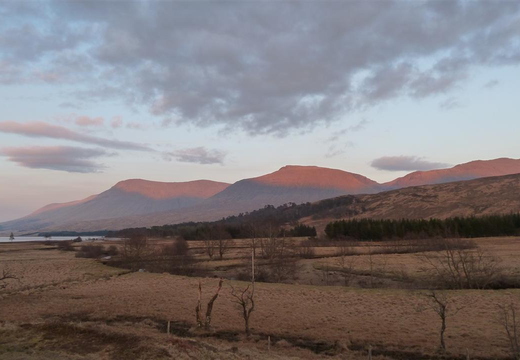 Red hill tops
