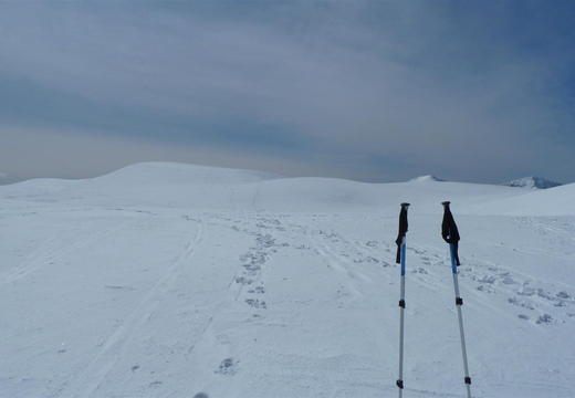 White as far as the eye can see