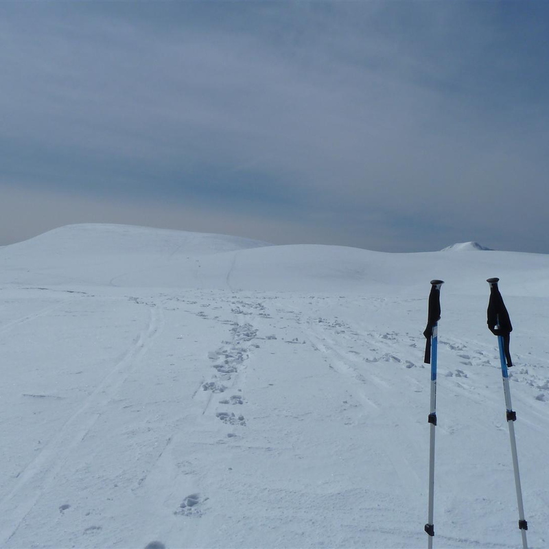 White as far as the eye can see