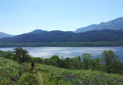 Loch Lomond