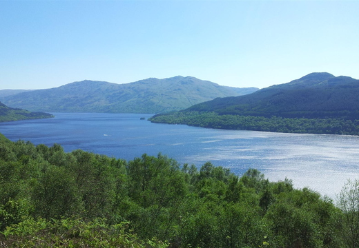 20120526_155226.jpg