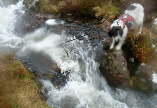 Holly Crossing River