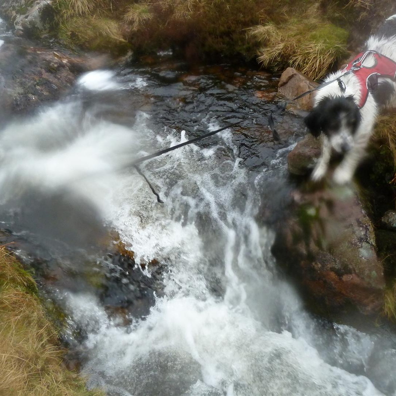 Holly Crossing River