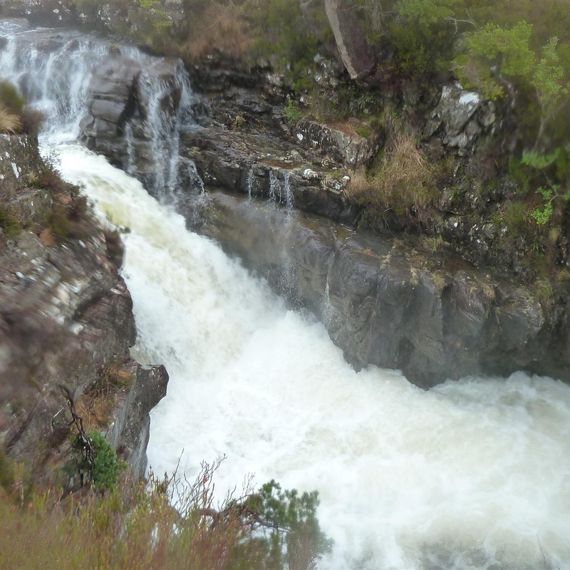 P1030447.JPG