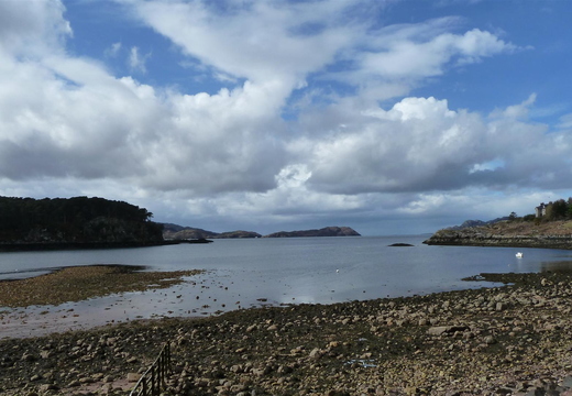 P1030556.JPG