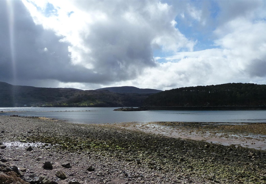 P1030555.JPG