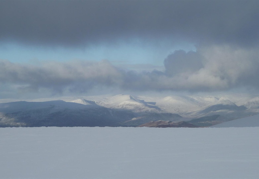 P1050436.JPG