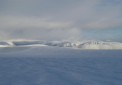 P1050441.JPG
