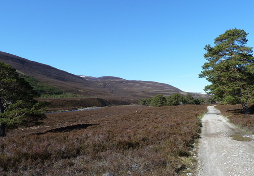 Saturday: Lovely Day, heading up the Dee