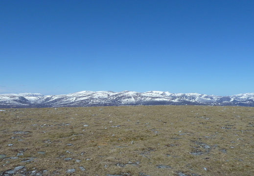 Cairngorm Plateu