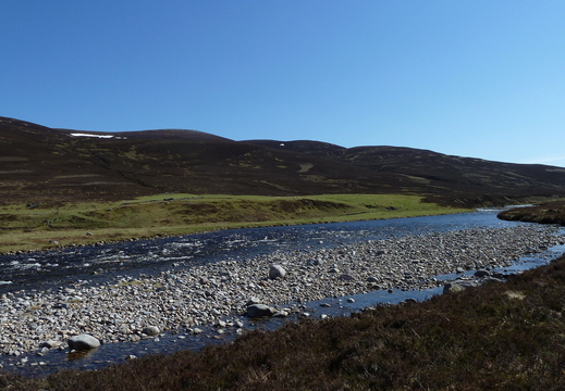 The Dee