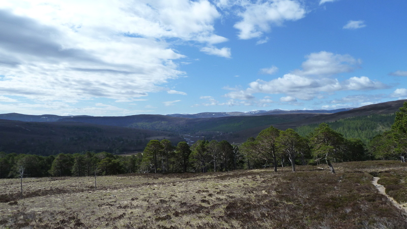 Another lovely day in the Cairngorms
