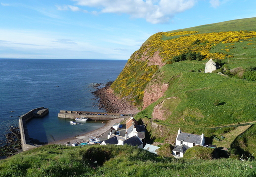 Pennan Harbour