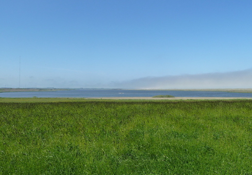 Loch of Strathbeg