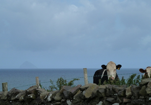 Ailsa Craig