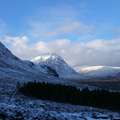 DSC 0168