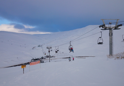 Sunnyside chair
