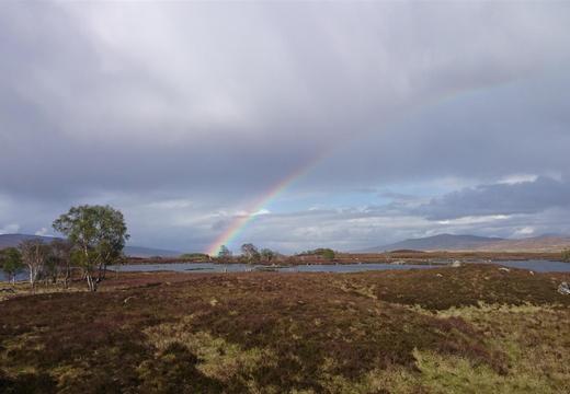 Glencoe (10-11/05/14)