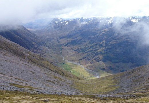Looking Up Glencoe