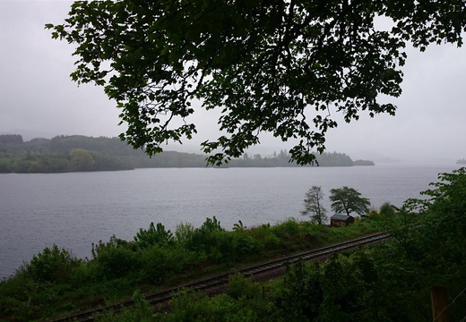 DSC 0002.JPG