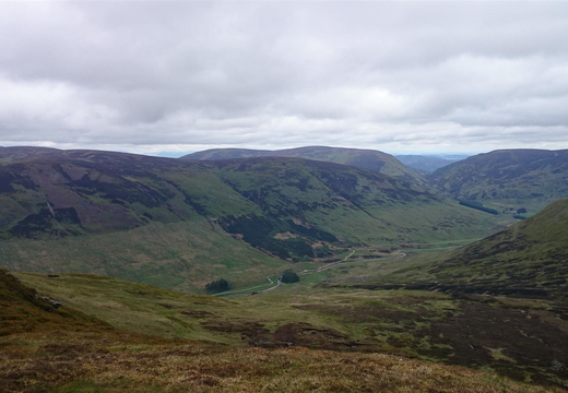 Glen View East