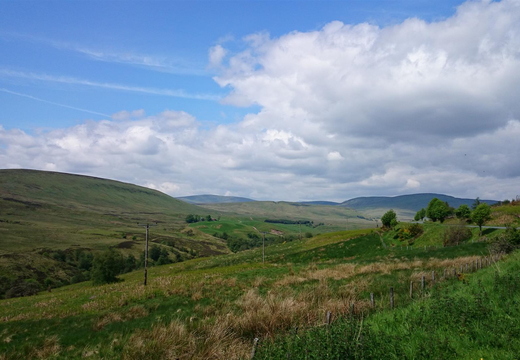 No-Named glen B827