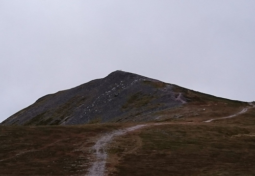 Summit