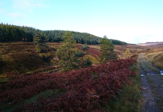 Beinn Dearg (Blair Athol) By MTB (12/10/14)