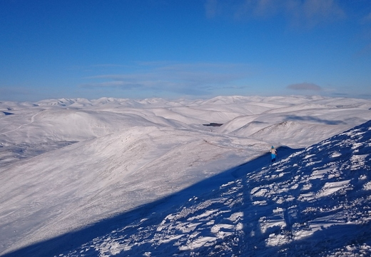 Laura, Glas Maol