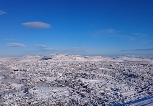 Poor summit cover, but frozen heather skiable!