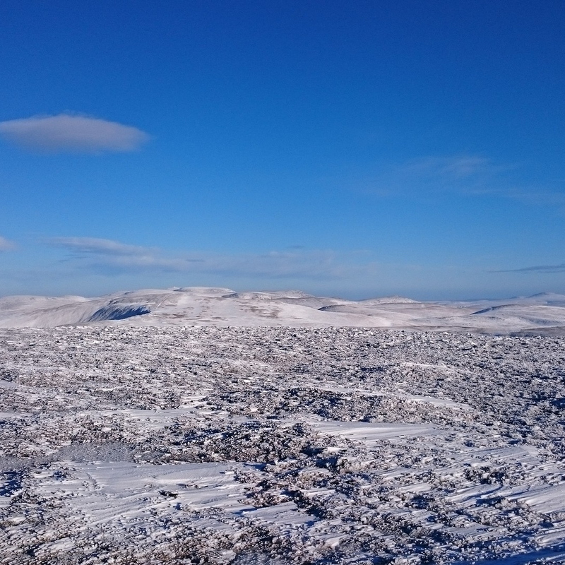 Poor summit cover, but frozen heather skiable!