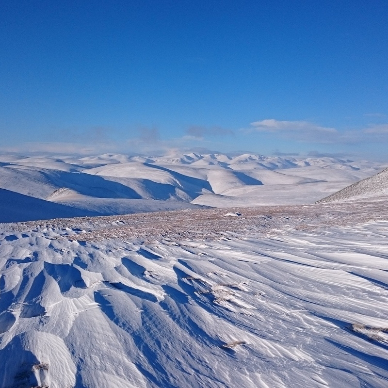 DSC_0028.JPG