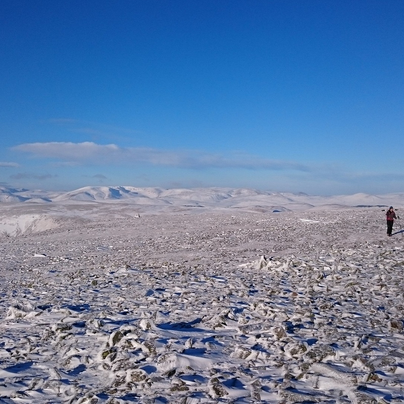 Poor cover initially on way to Carn an Tuirc,  but then skiable to Bealach (snow/heather mix)