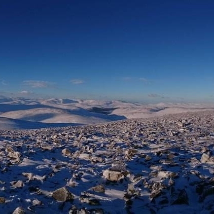 Pano