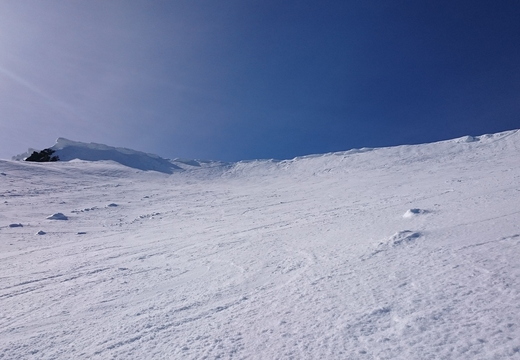 DSC_0046.JPG