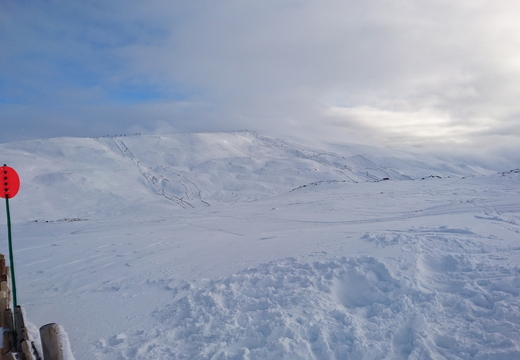 DSC_0116.JPG
