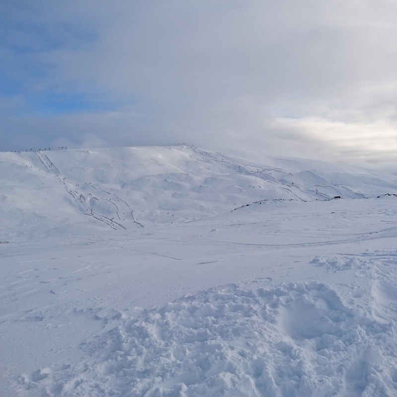 DSC_0116.JPG
