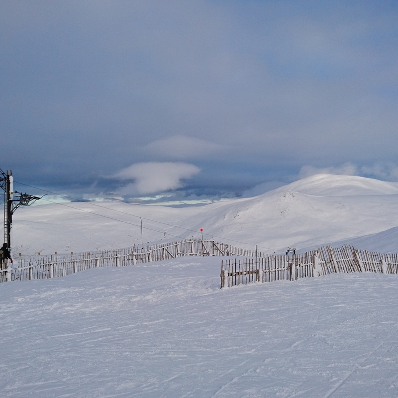 DSC_0120.JPG