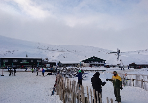 DSC_0125.JPG