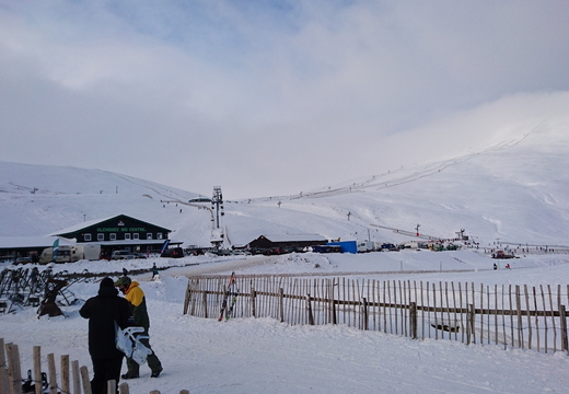 DSC_0126.JPG