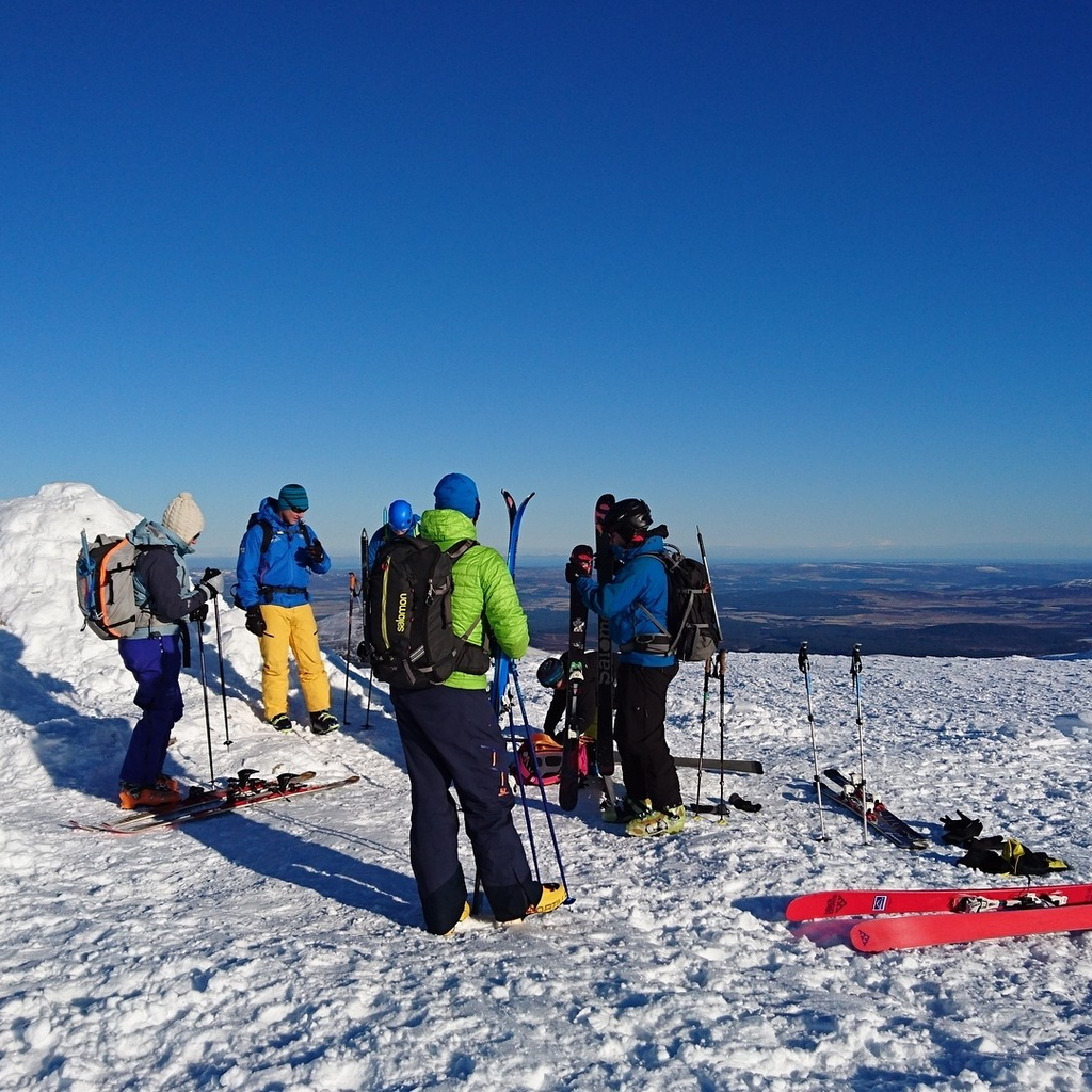 Gang at summit
