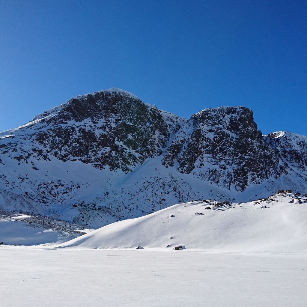 Positively Alpine!