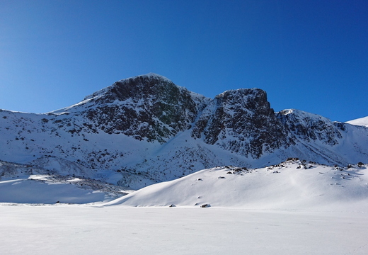 Positively Alpine!
