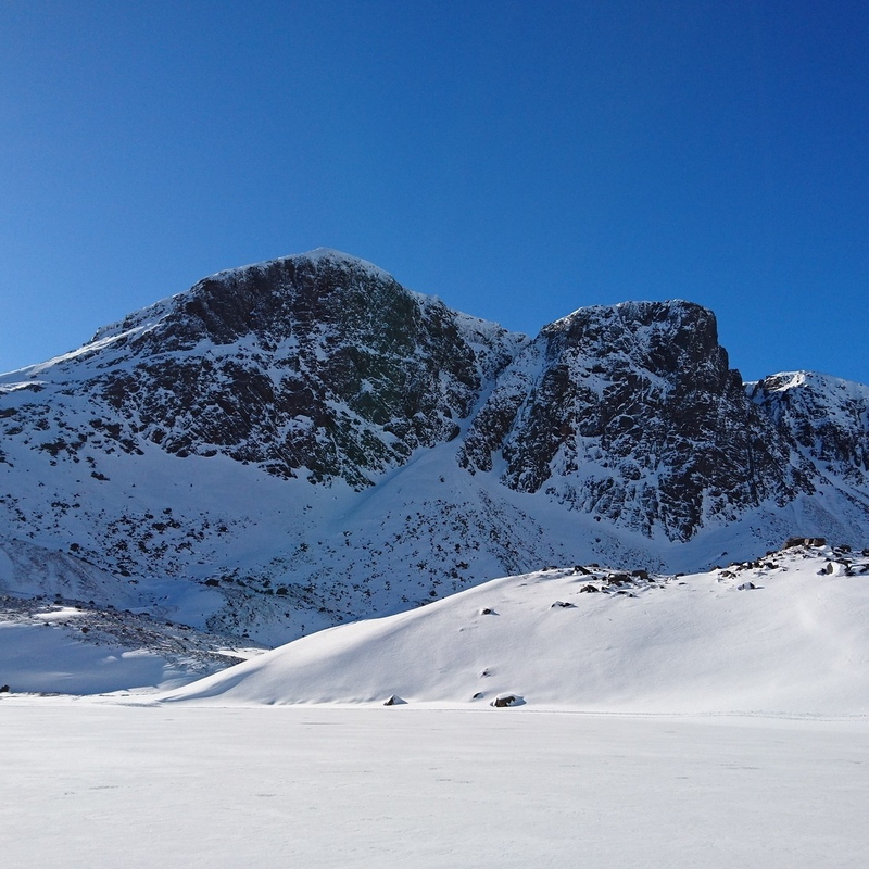 Positively Alpine!
