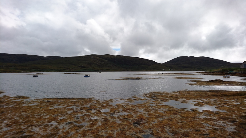 Out in the boat again, this time Loch Ainehort