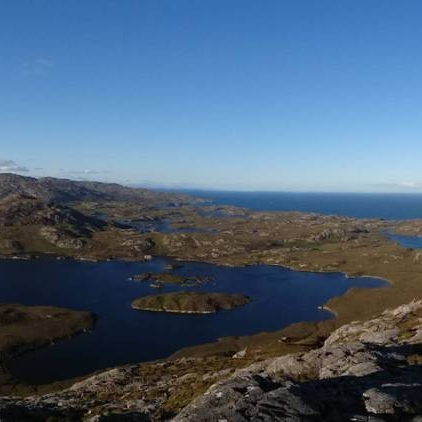 Many Lochs